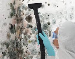 Environmental Consulting for Mold Prevention in Forks, WA